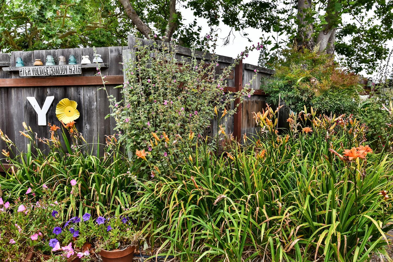 704 Bloomfield Road Sebastopol, CA 95472 - Photo 40 of 47