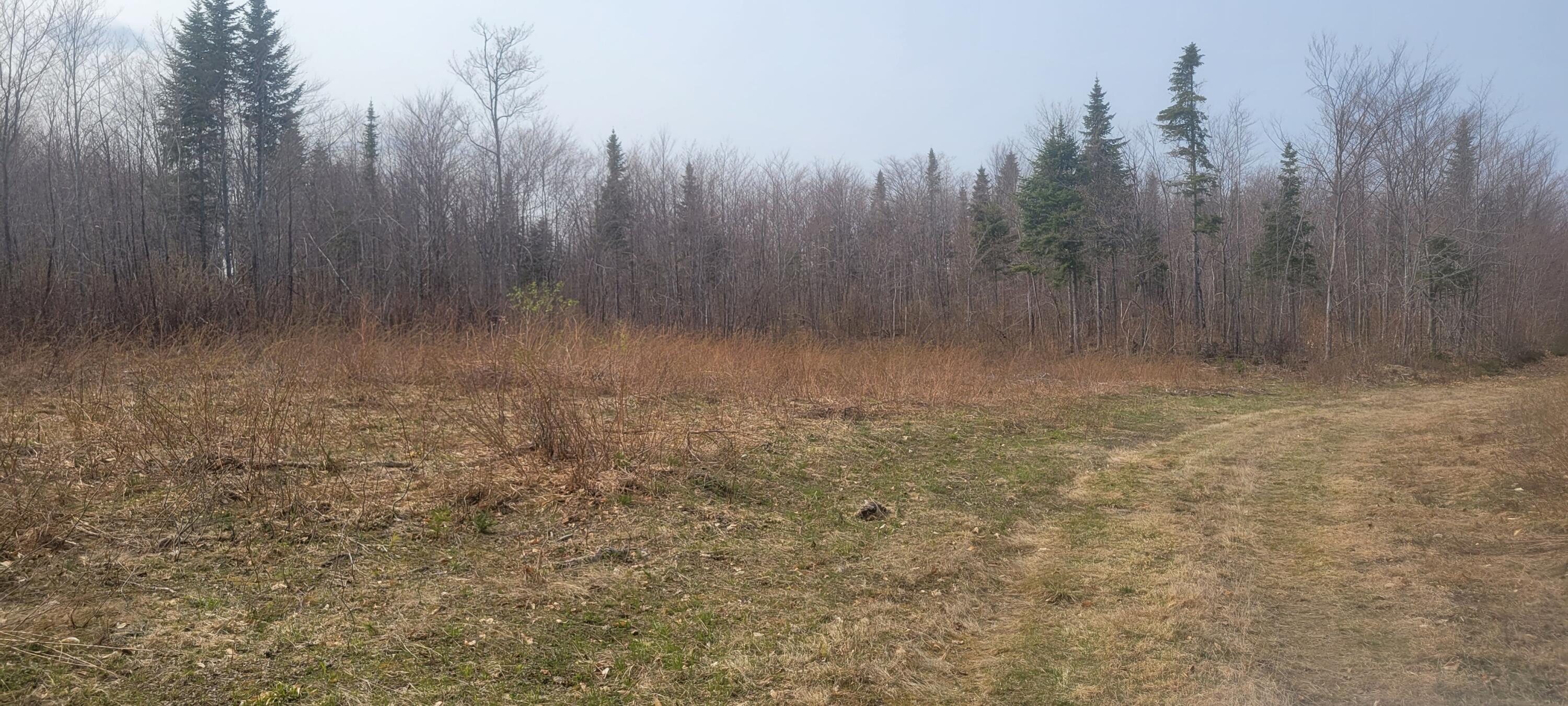 Map19 Map19 St. David, ME 04773 - Photo 11 of 12 20230511_153548