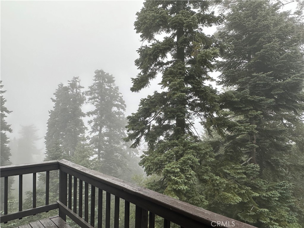 897 Bear Springs Road Twin Peaks, CA 92391 - Photo 12 of 16