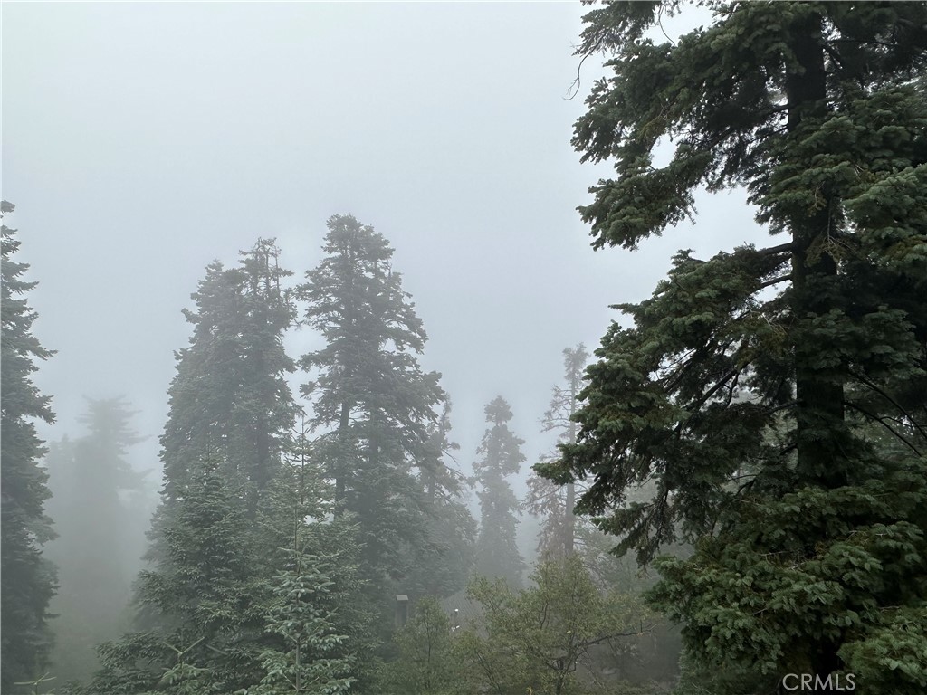 897 Bear Springs Road Twin Peaks, CA 92391 - Photo 13 of 16