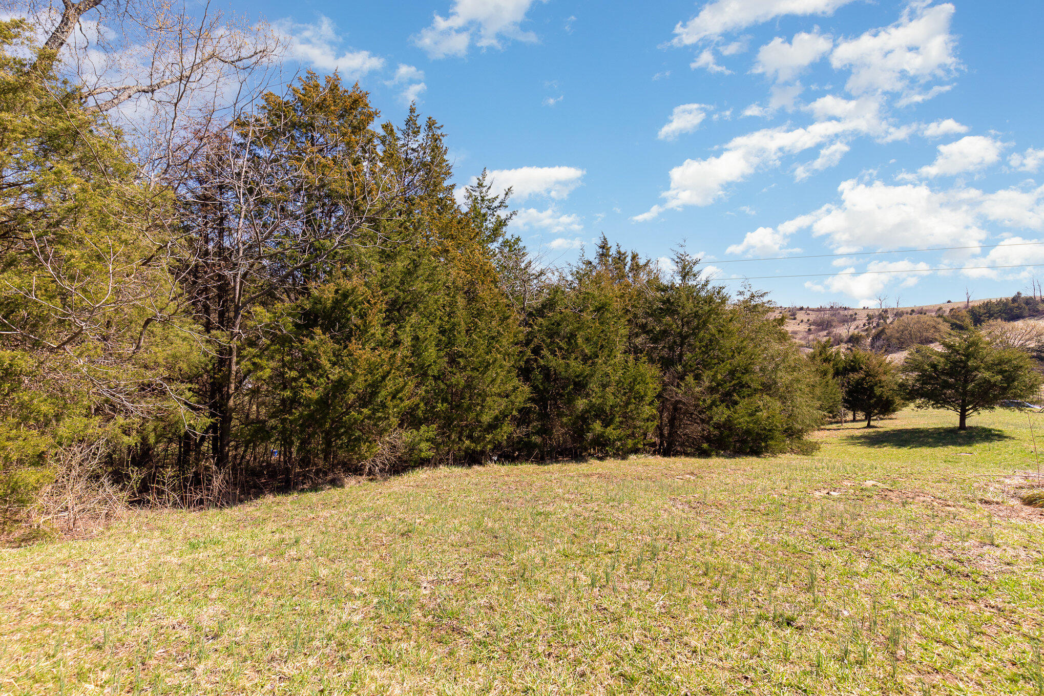 1583 Two Lick Road Cynthiana, KY 41031 - Photo 5 of 24 025_file_688
