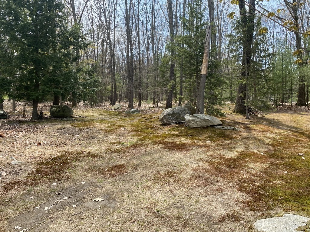 3 Old Littleton Road Harvard, MA 01451 - Photo 3 of 7 Gallery Image 3