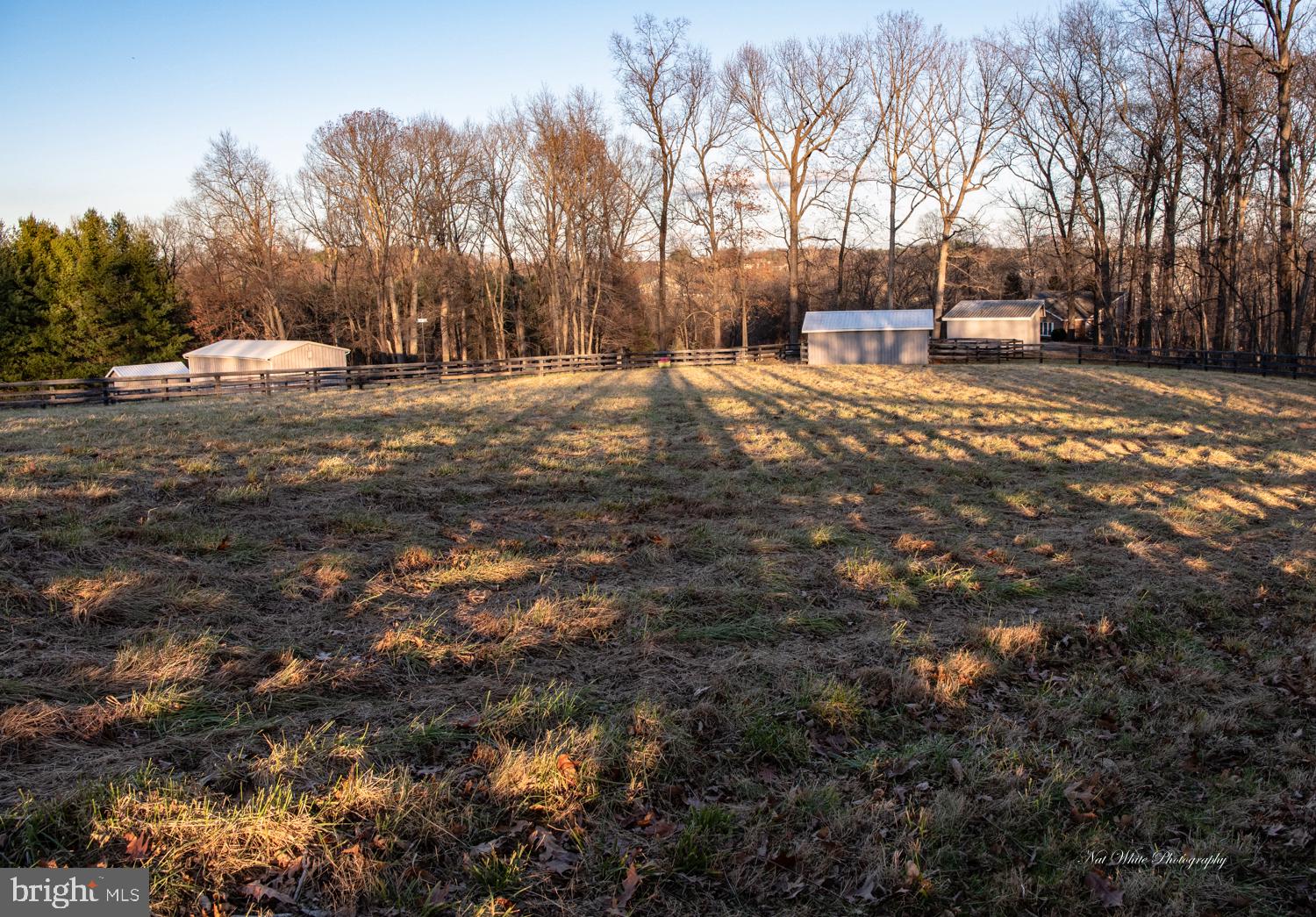 16278 Hampton Road Hamilton, VA 20158 - Photo 22 of 23 View of upper front paddocks, run-in sheds