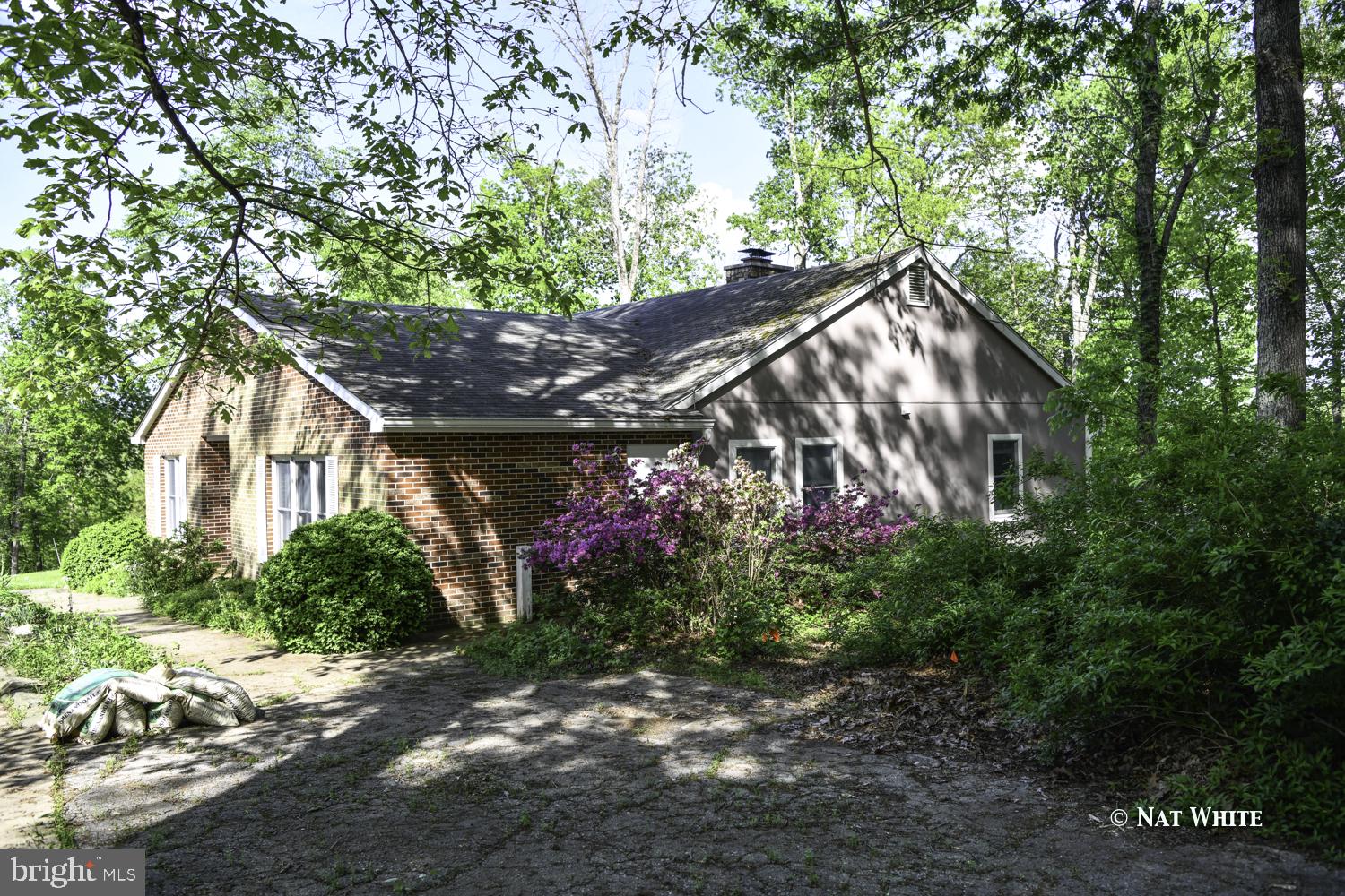 Side elevation of house