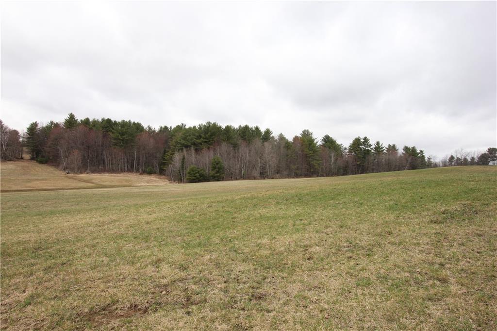0 Turner Center Road Turner, ME 04282 - Photo 5 of 10 Bring your horses, alpacas, goats...