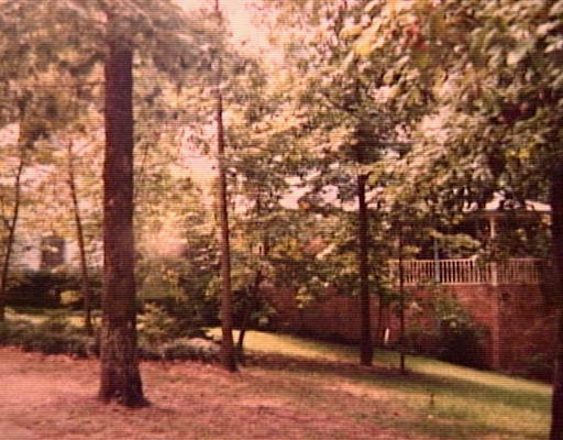 Primary Photo