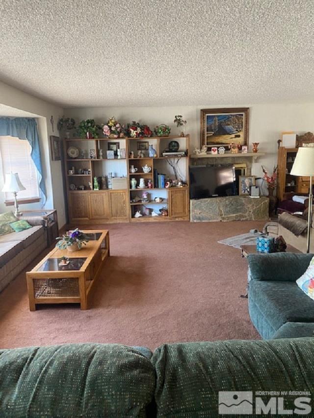 900 Browning Drive Reno, NV 89506 - Photo 2 of 11 Photo 2