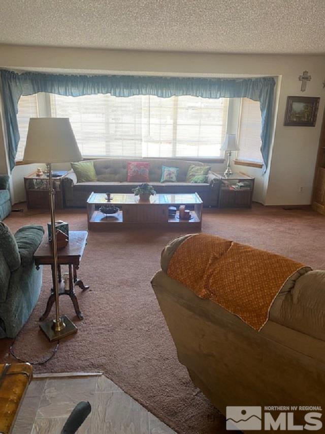 900 Browning Drive Reno, NV 89506 - Photo 6 of 11 Photo 6