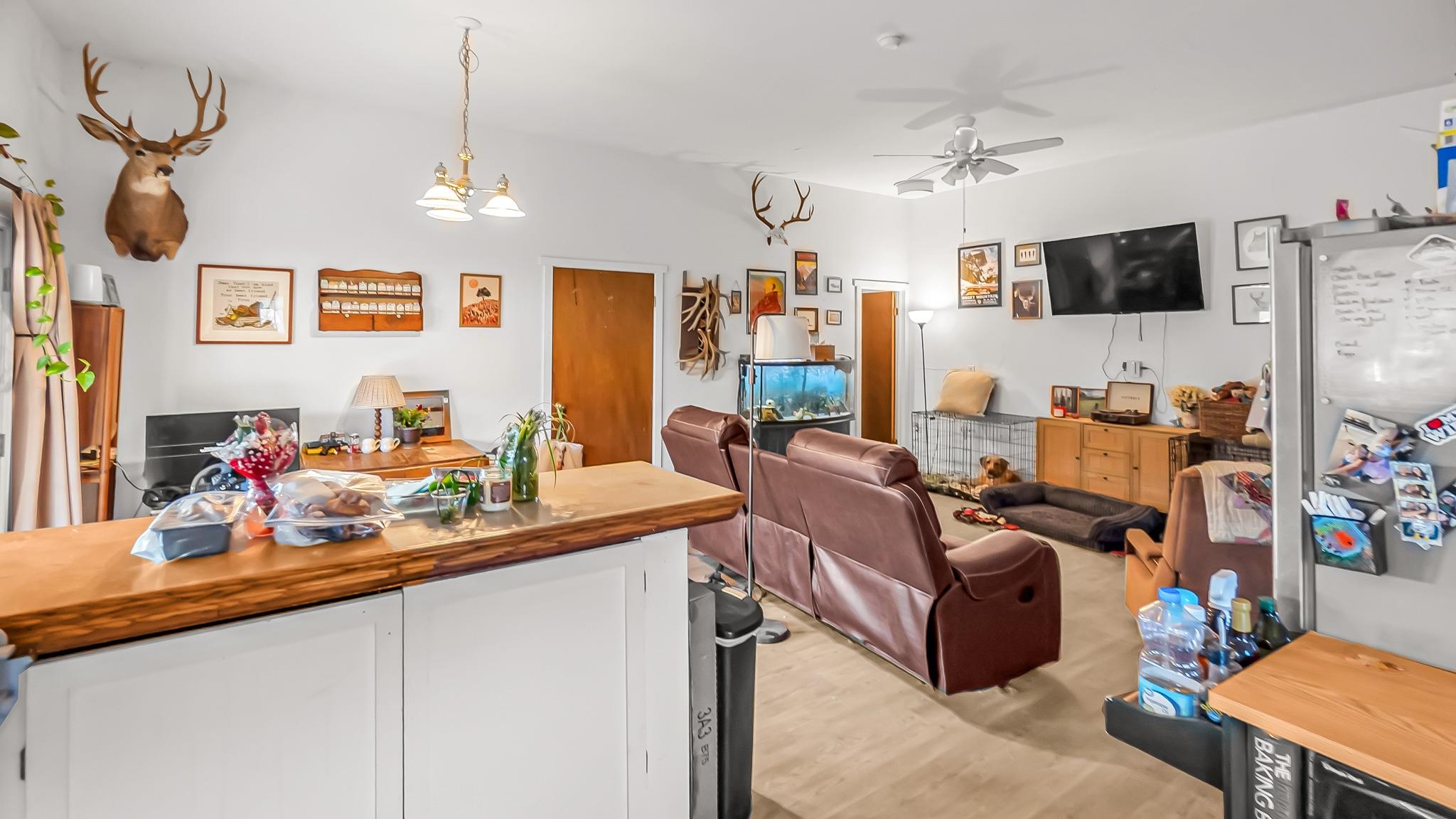 201 Dj Road Rifle, CO 81650 - Photo 27 of 42