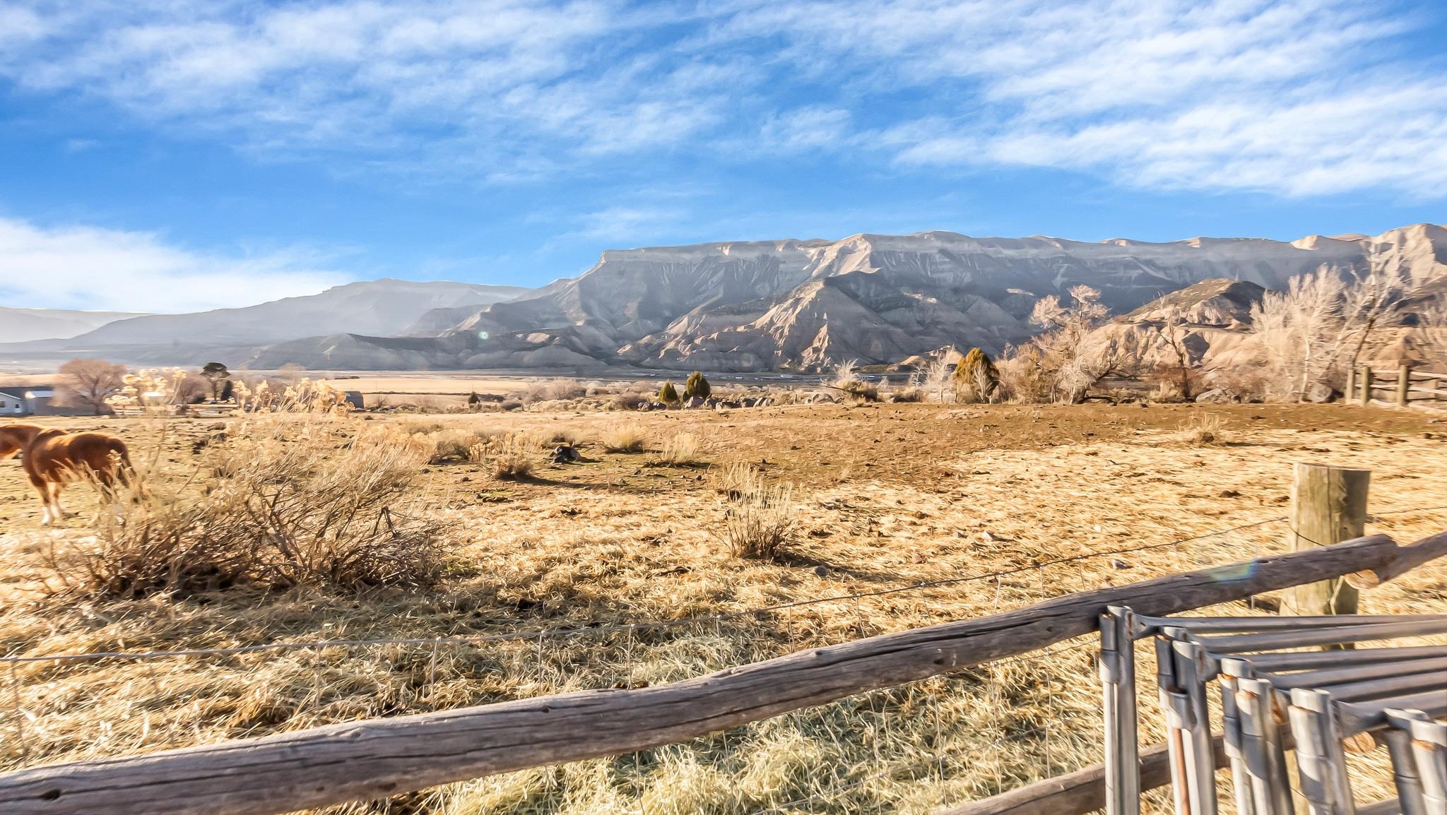 201 Dj Road Rifle, CO 81650 - Photo 38 of 42