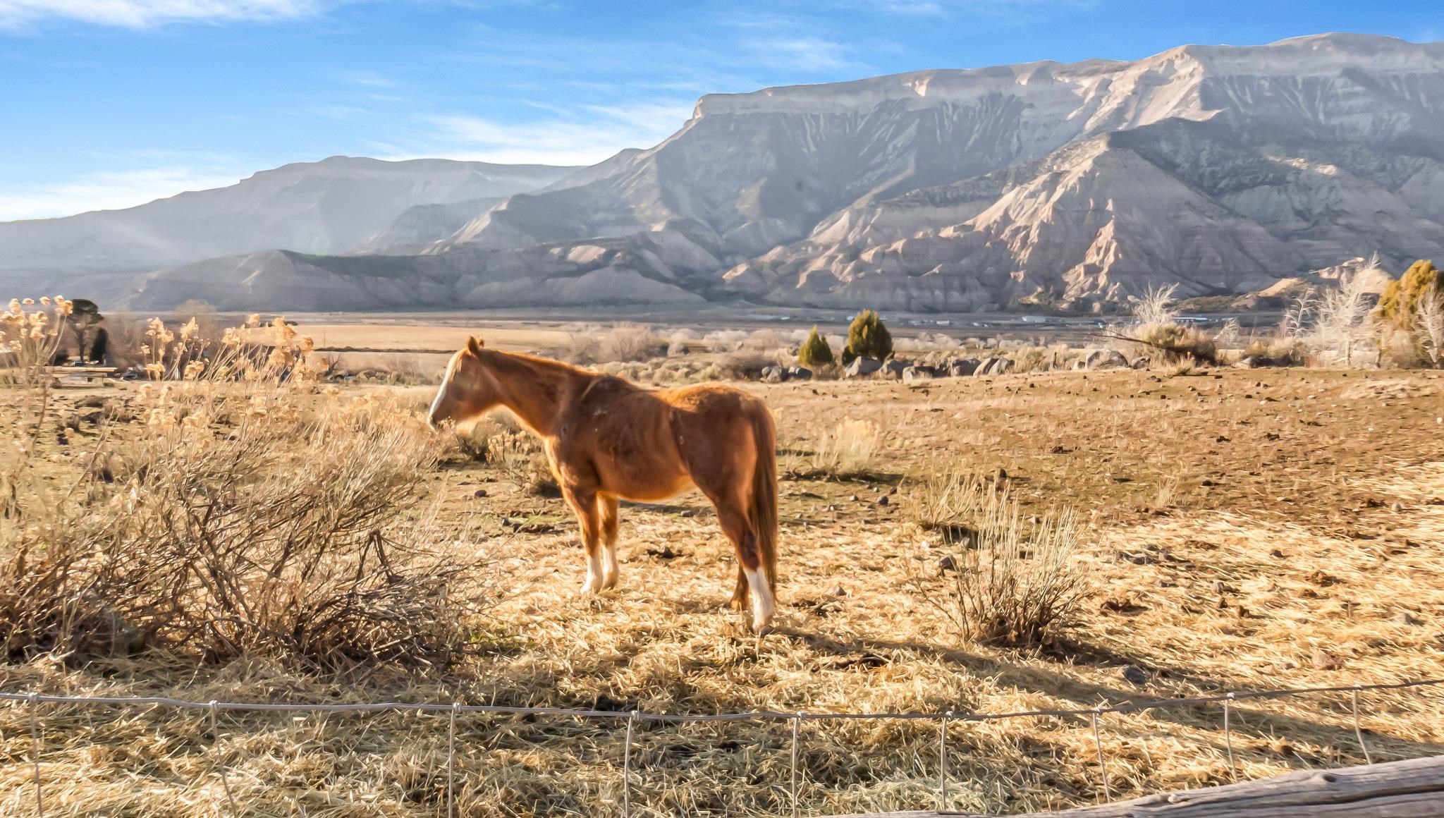 201 Dj Road Rifle, CO 81650 - Photo 41 of 42