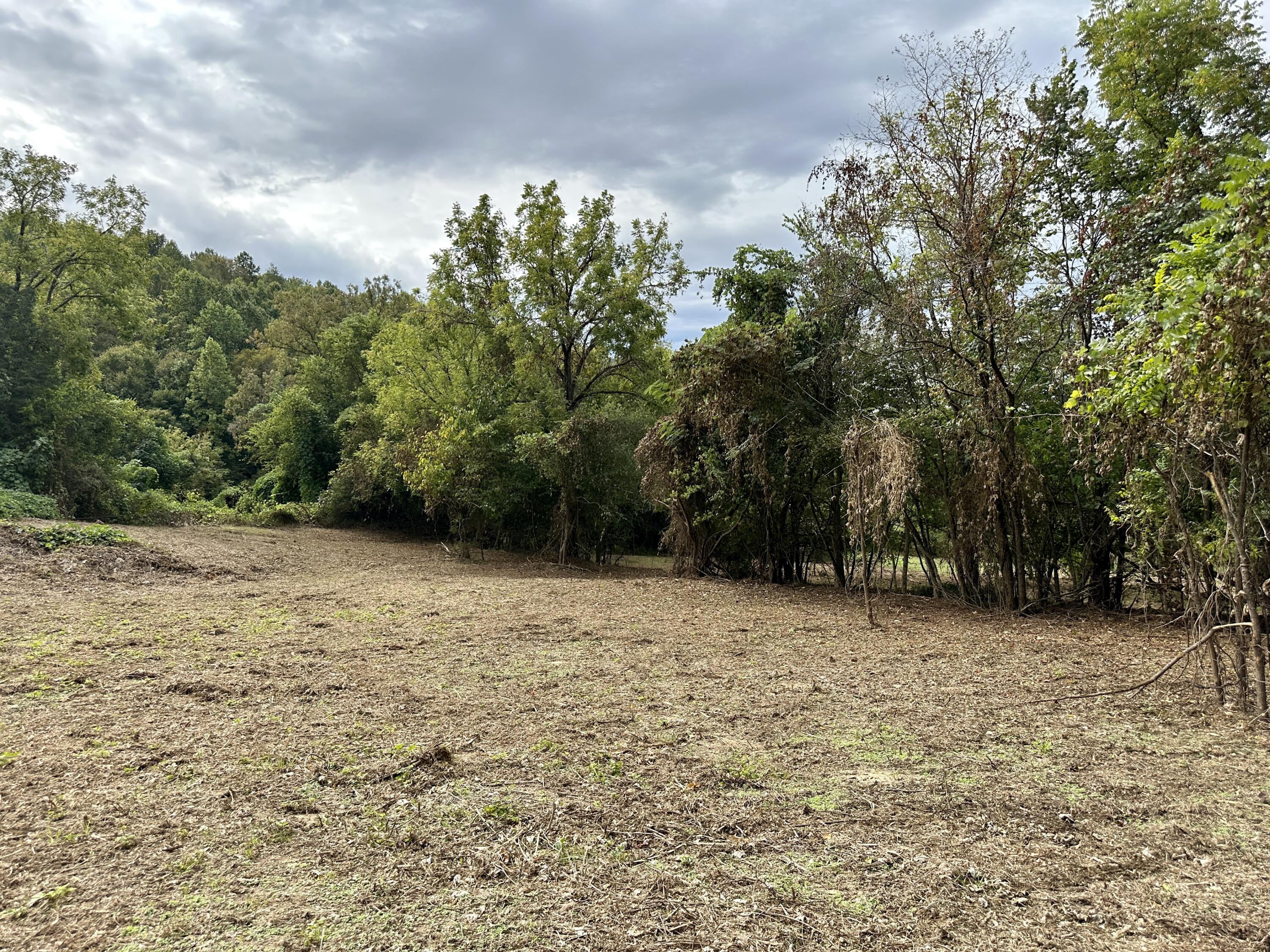 Lot #17 Greasy Cove Road, Unit 17 Cosby, TN 37722 - Photo 1 of 12 IMG_001