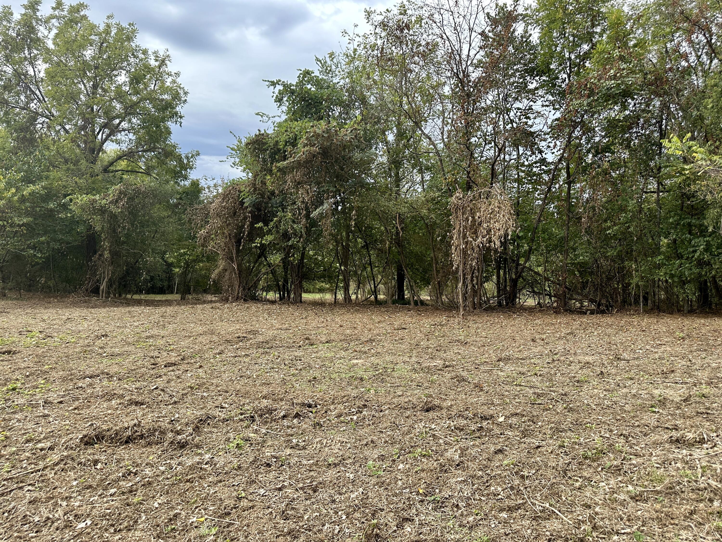 Lot #17 Greasy Cove Road, Unit 17 Cosby, TN 37722 - Photo 2 of 12 IMG_002