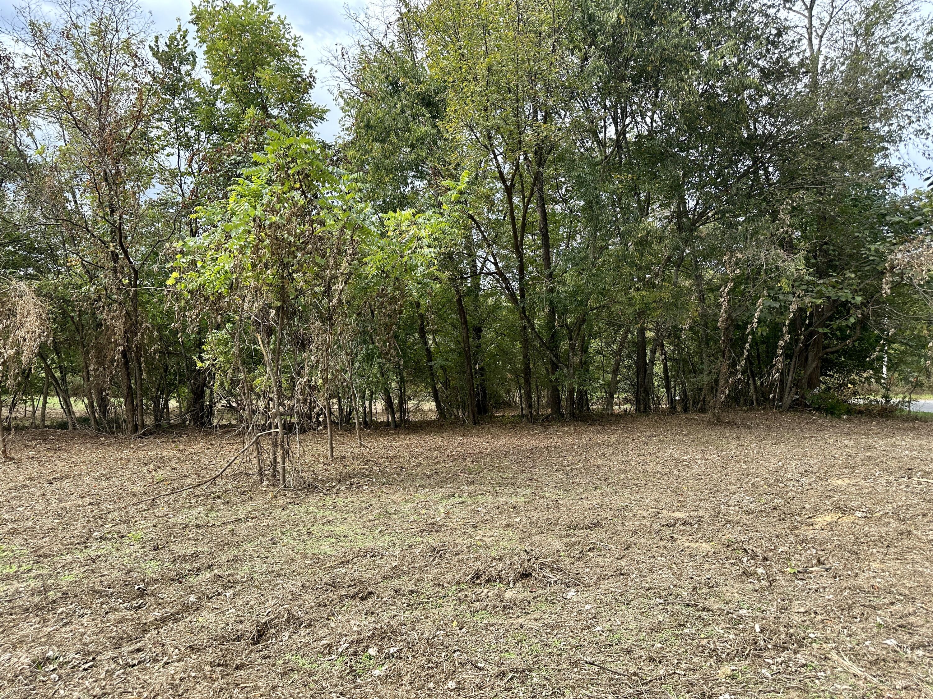 Lot #17 Greasy Cove Road, Unit 17 Cosby, TN 37722 - Photo 4 of 12 IMG_004