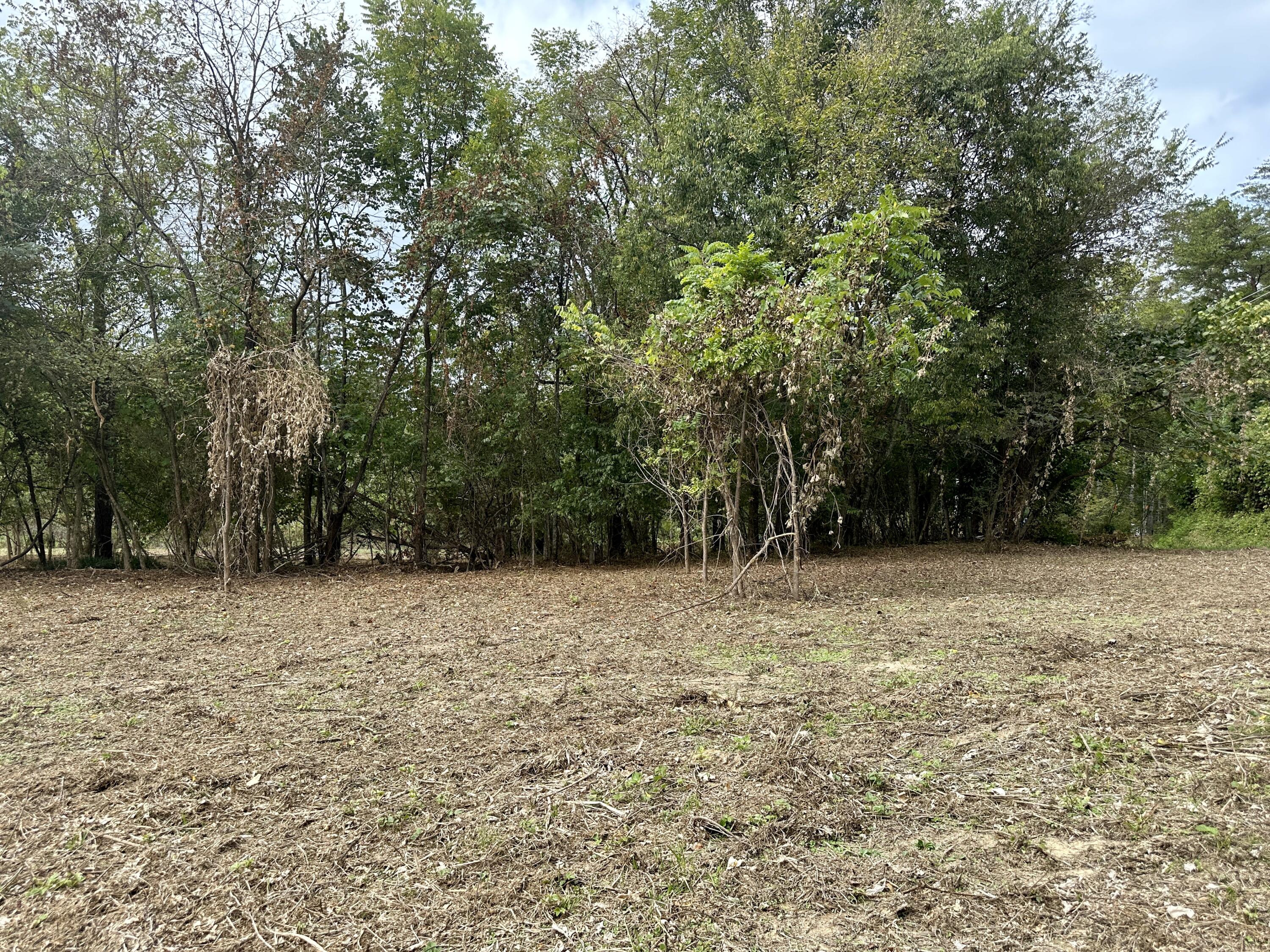 Lot #17 Greasy Cove Road, Unit 17 Cosby, TN 37722 - Photo 5 of 12 IMG_005
