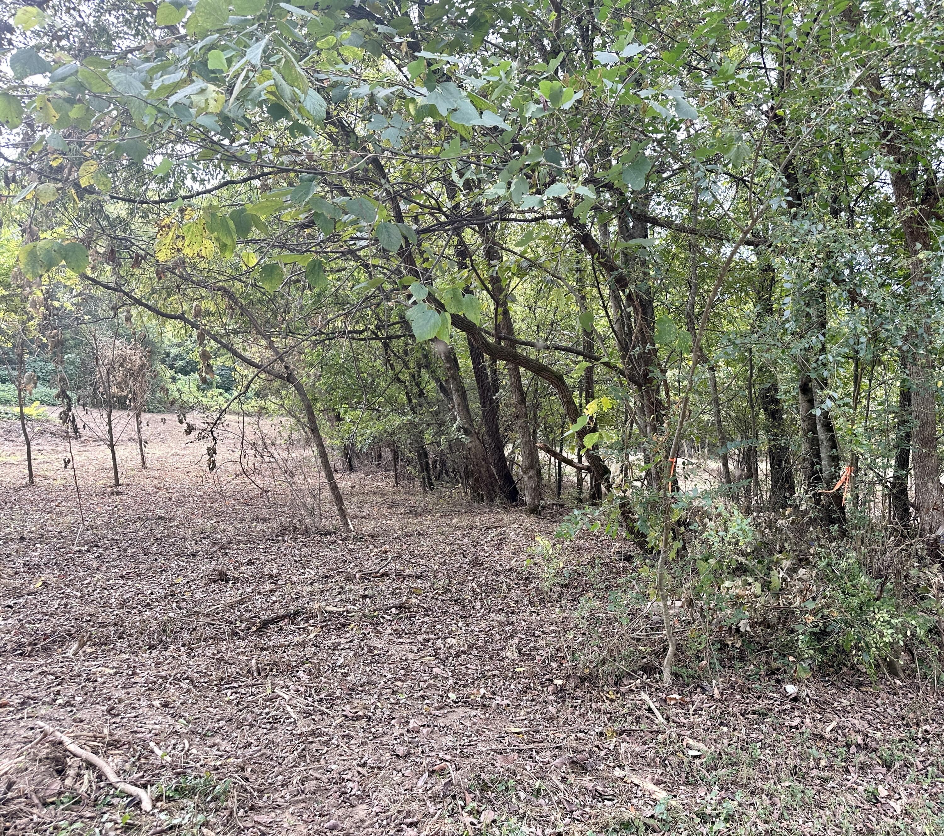 Lot #17 Greasy Cove Road, Unit 17 Cosby, TN 37722 - Photo 6 of 12 IMG_006