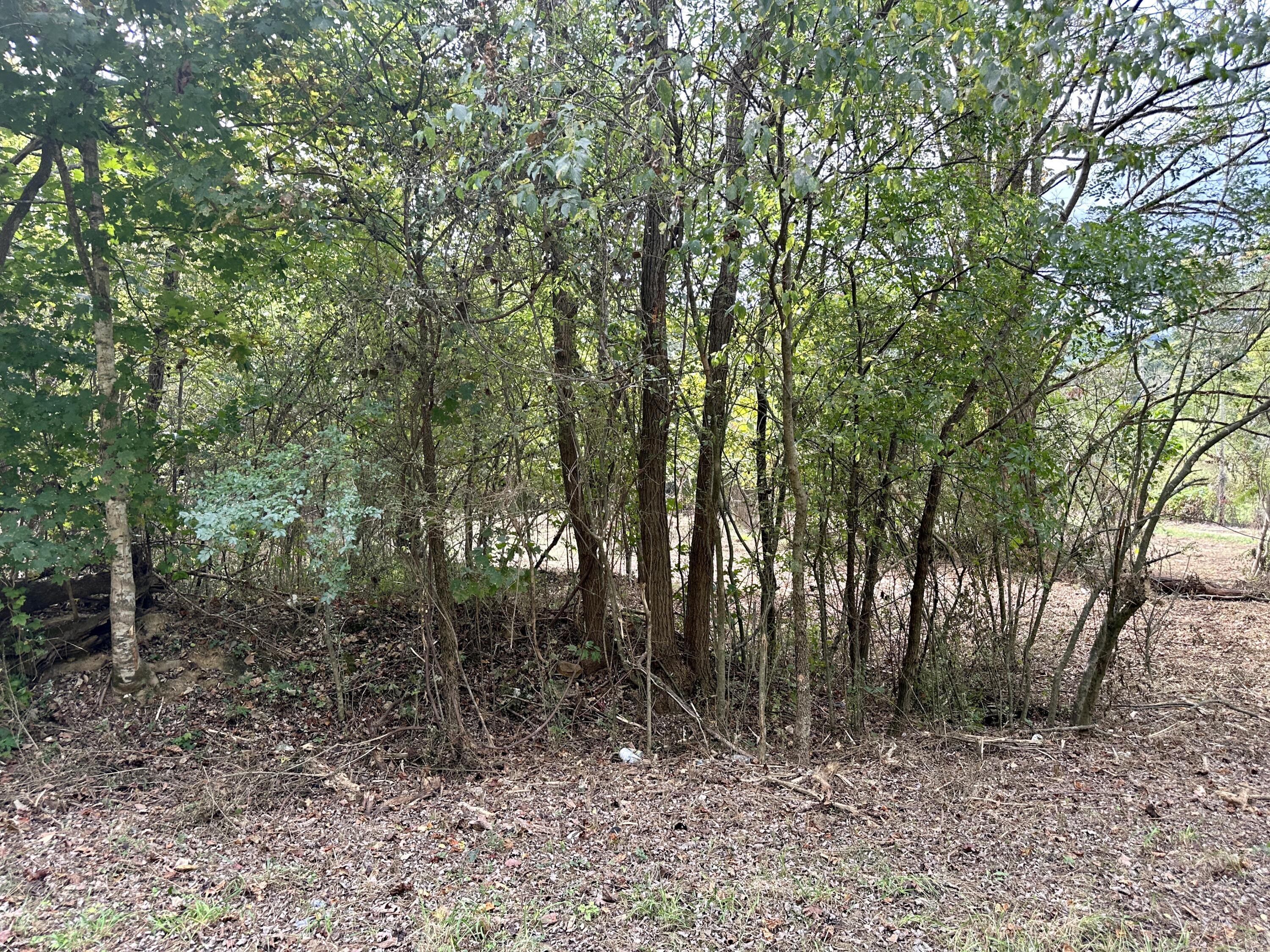 Lot #17 Greasy Cove Road, Unit 17 Cosby, TN 37722 - Photo 7 of 12 IMG_007