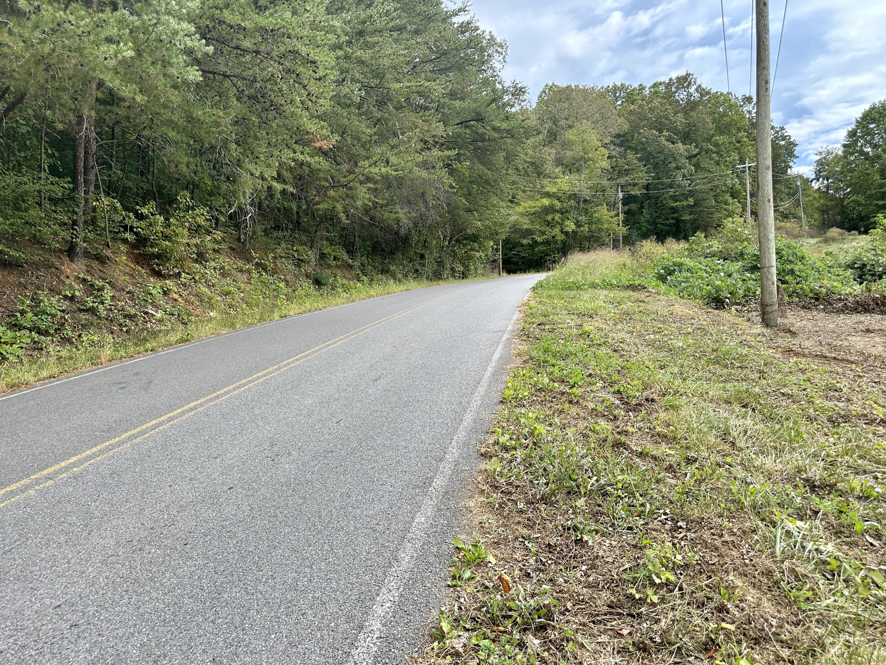 Lot #17 Greasy Cove Road, Unit 17 Cosby, TN 37722 - Photo 8 of 12 IMG_008