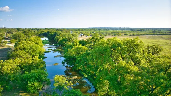 a view of a lake with a garden