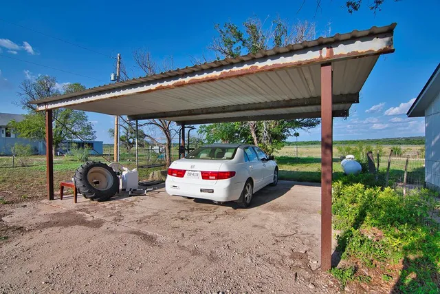 a view of a forest with trees in the background
