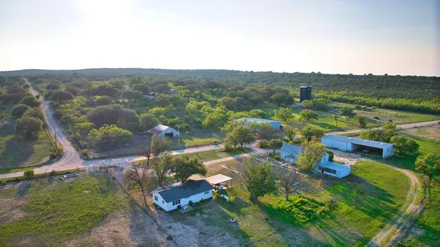 a view of a yard with a tree