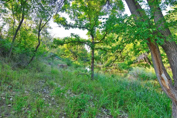 $4,925,000 | 18045 Kenley Lane, Christoval, TX 76935