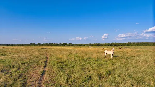 $4,925,000 | 18045 Kenley Lane, Christoval, TX 76935