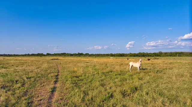 $4,925,000 | 18045 Kenley Lane, Christoval, TX 76935