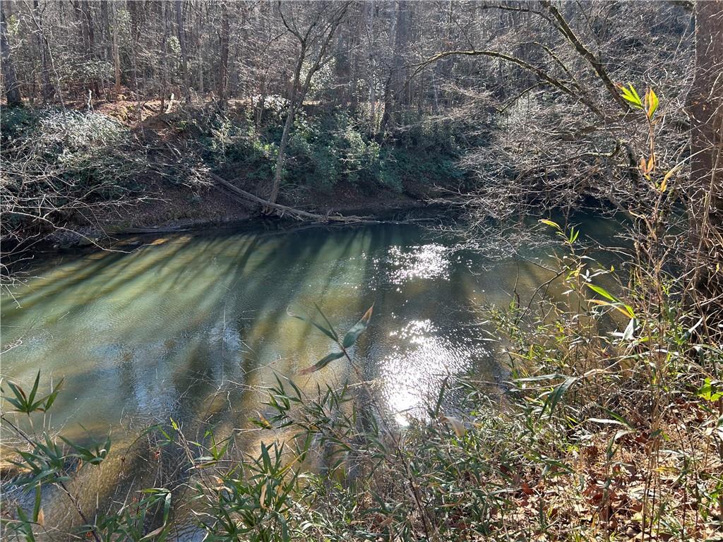 0 Twin River Orchard Road Demorest, GA 30535 - Photo 14 of 63