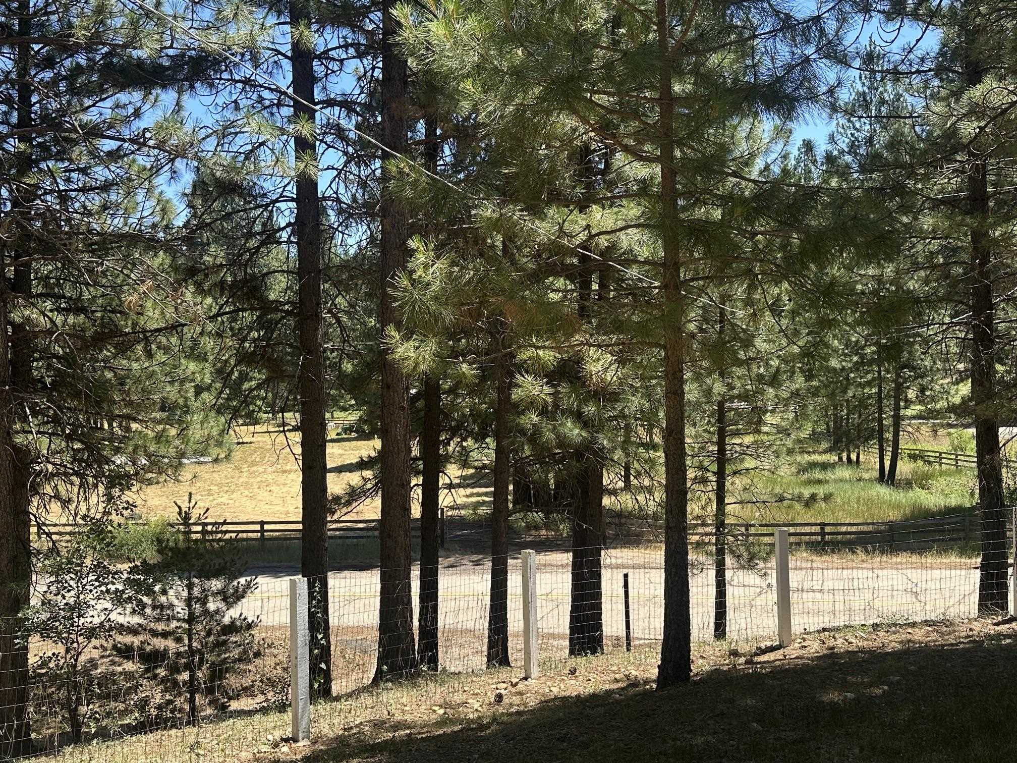 51 Ranch Road Meadow Valley, CA 95956 - Photo 14 of 21