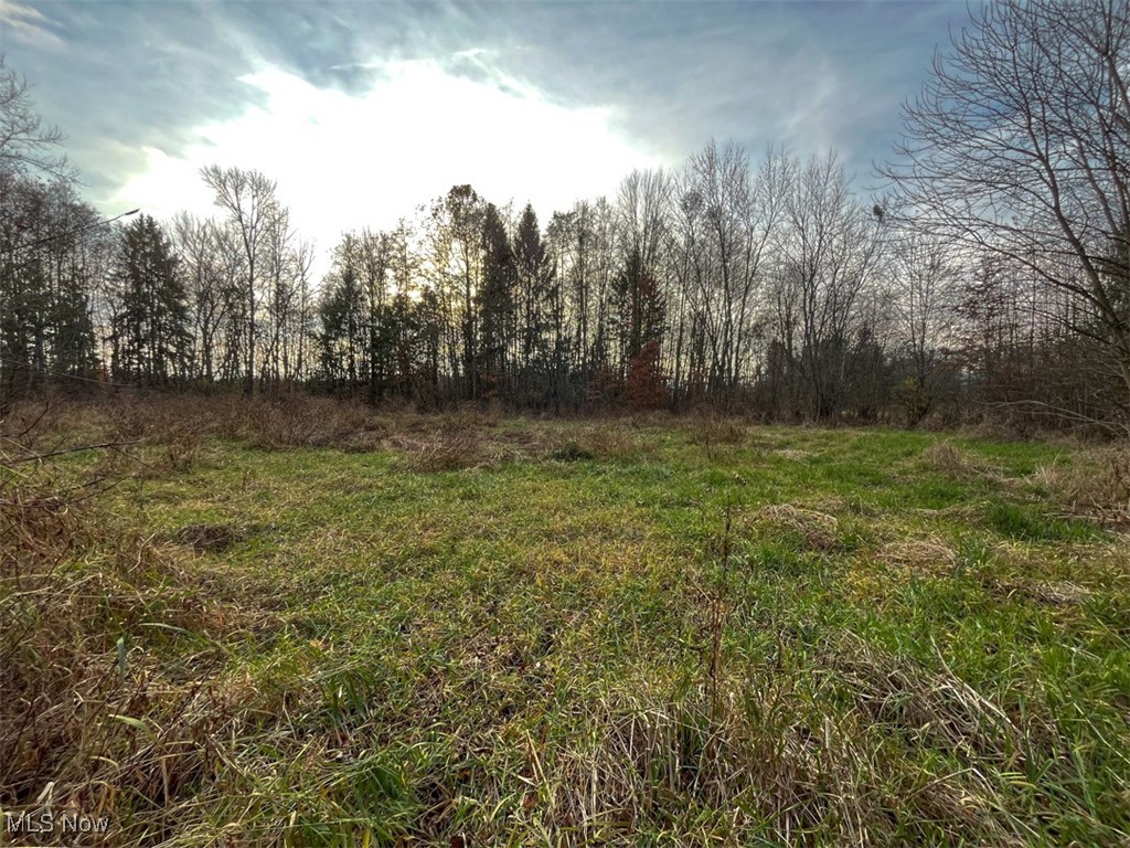 0 Harvey Circle Rittman, OH 44270 - Photo 26 of 35 View of undeveloped land