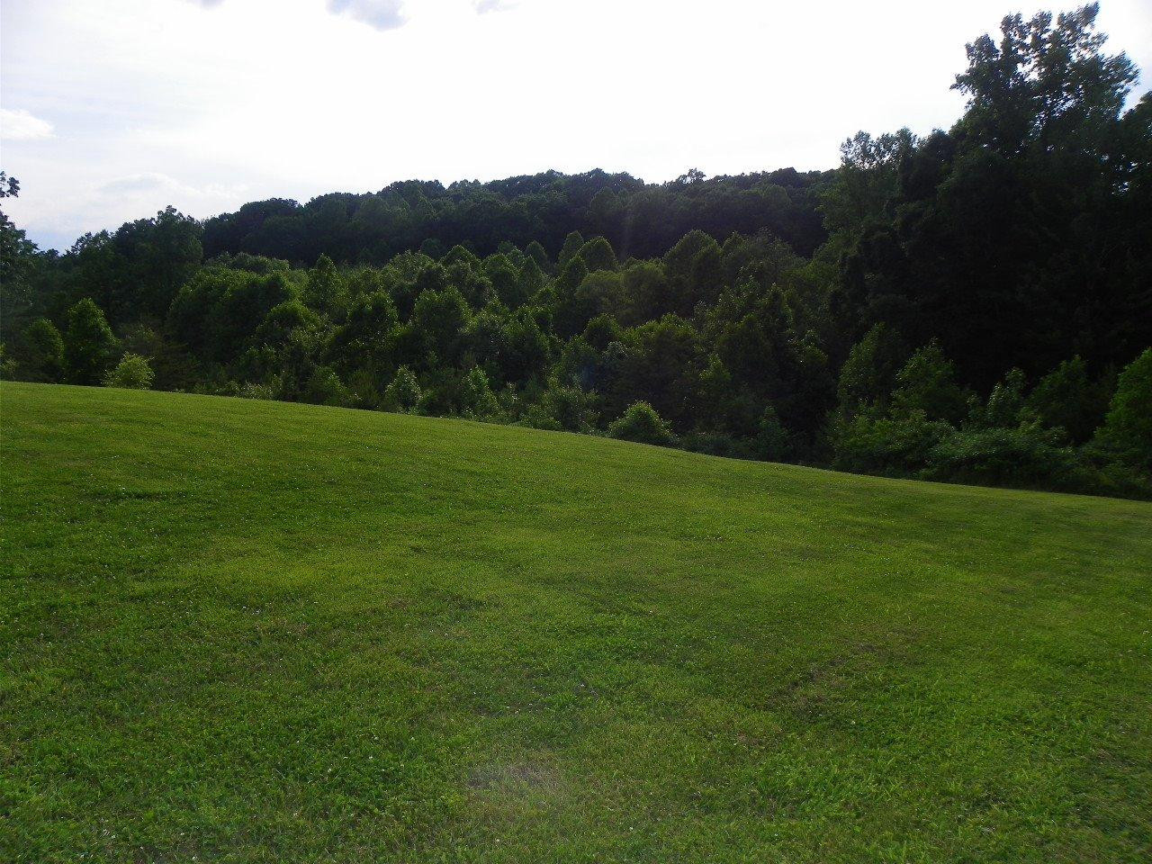 1172 East Pittsburg Church Road London, KY 40741 - Photo 3 of 26 Photo 3