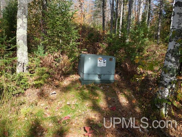 5800 Wolf Lake Road Watersmeet, MI 49969 - Photo 41 of 86