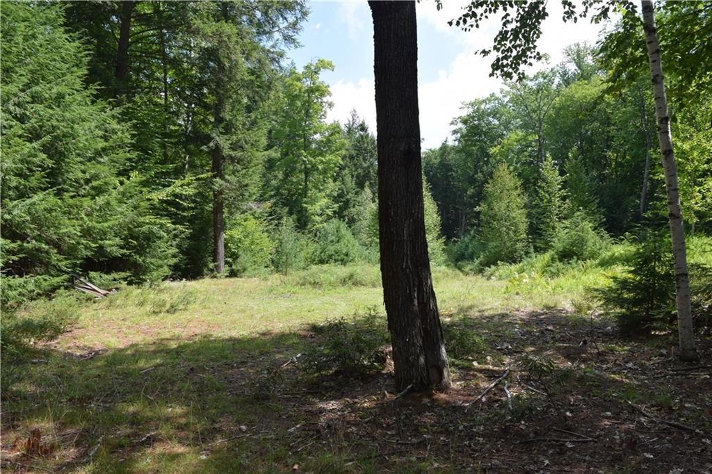Lot P2 Bakers Acres Road Harrison, ME 04040 - Photo 12 of 17 Photo