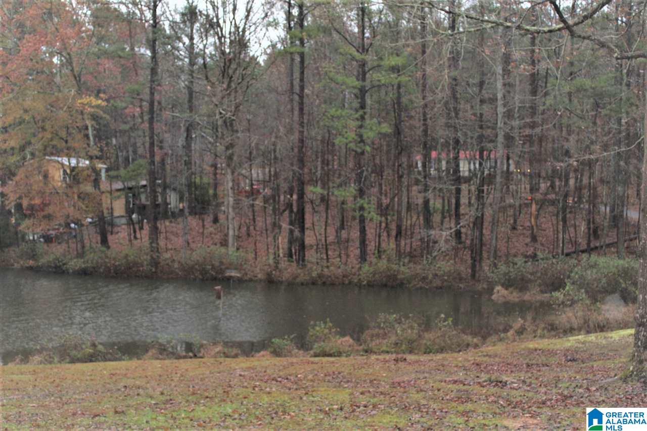 0 County Road 921, Unit 2 Delta, AL 36258 - Photo 8 of 17
