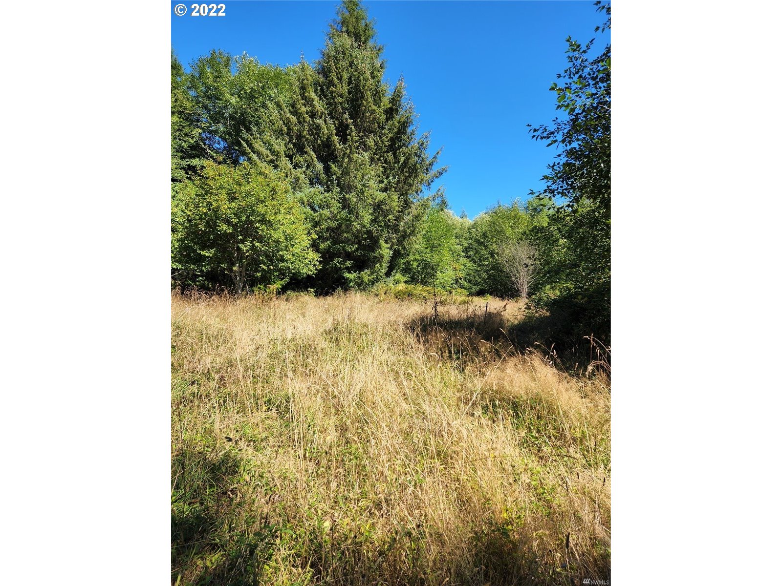 Bighill Road Naselle, WA 98638 - Photo 1 of 4 Gallery Image 1