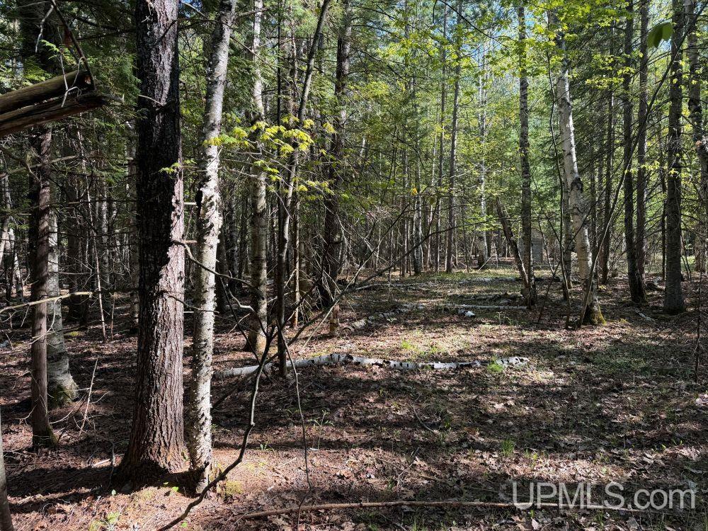 Off County Road KD Road Big Bay, MI 49808 - Photo 5 of 13