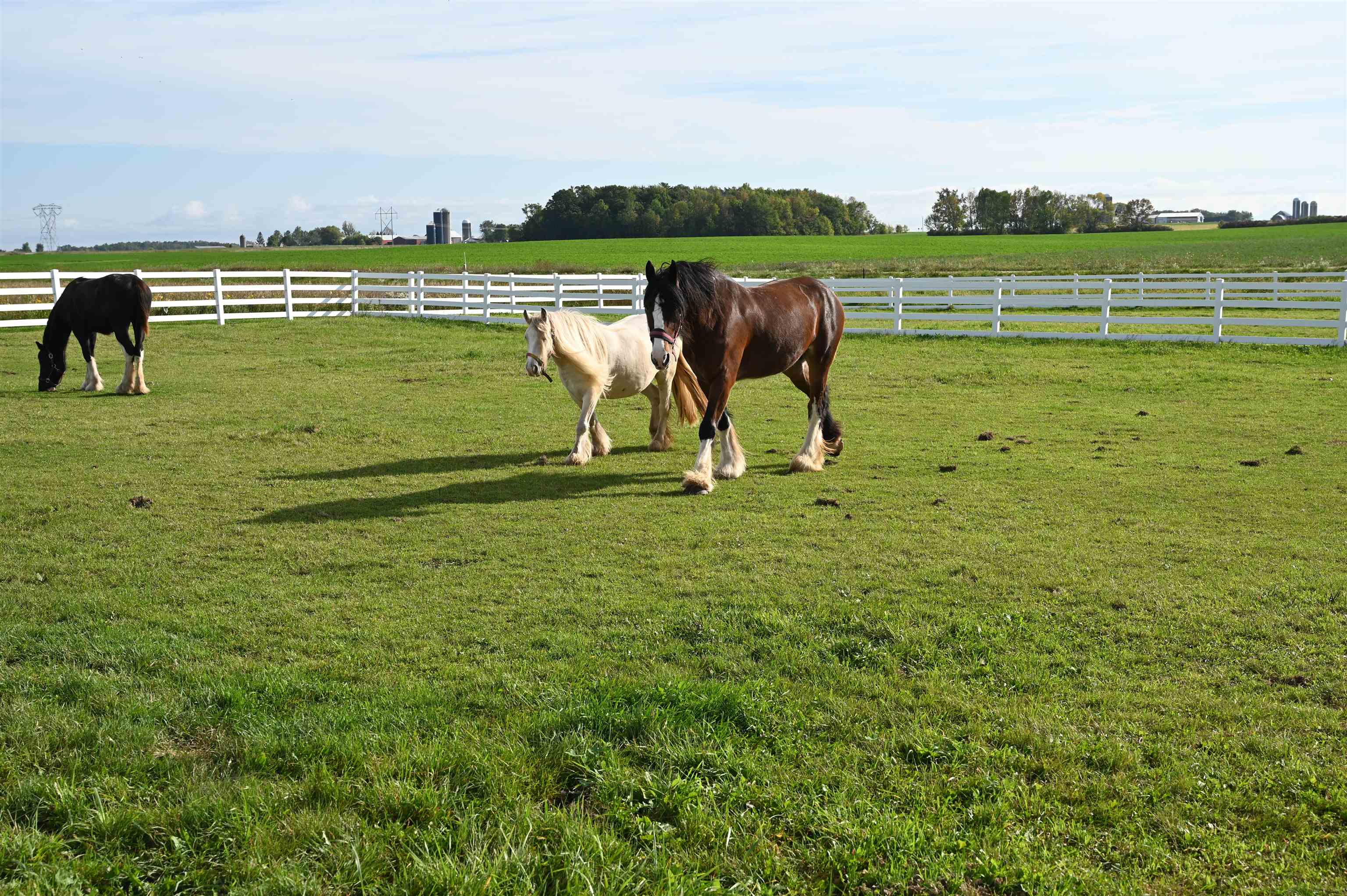 5678 Morrison Road De Pere, WI 54115 - Photo 84 of 87