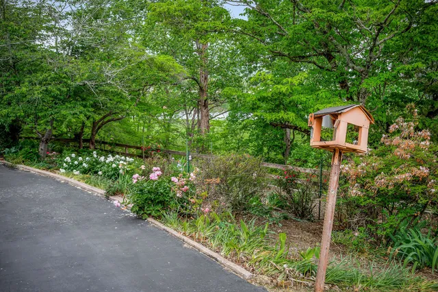 front view of a house with a potted plant
