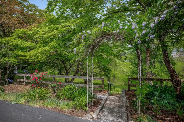 a front view of a house with a yard and green space