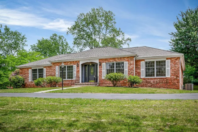 a view of a big yard with a large trees