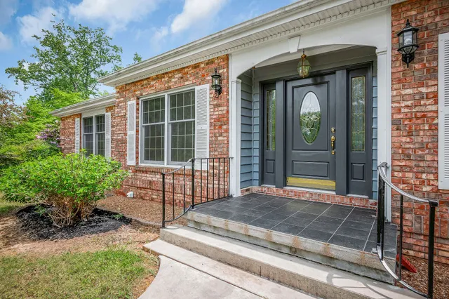a view of a back yard