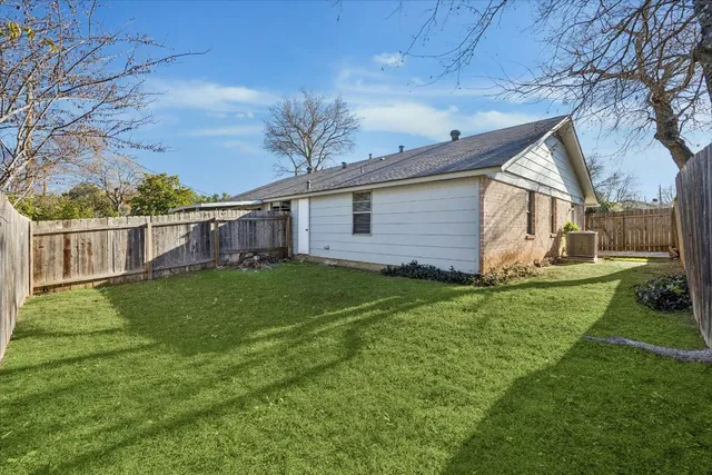 a view of a backyard with plants and large tree