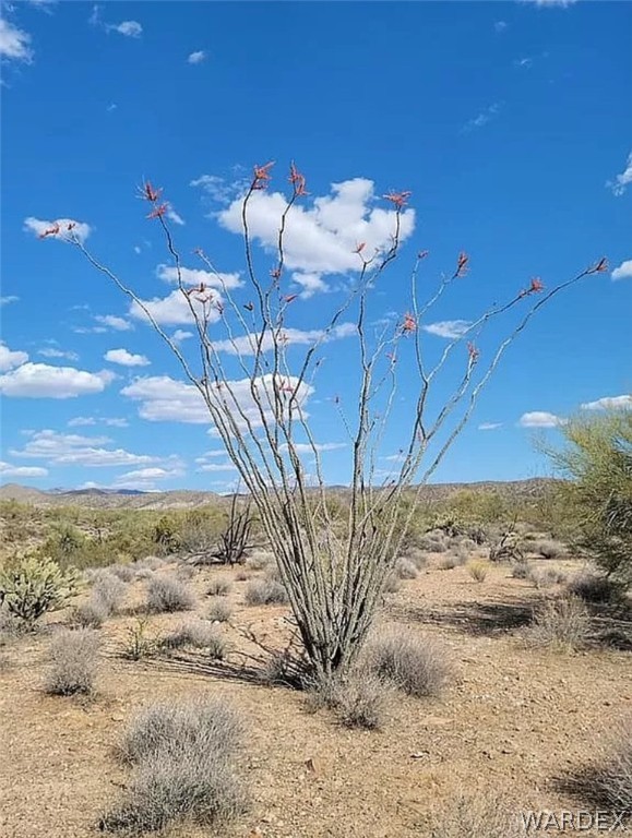 123 Back Road Kingman, AZ 86401 - Photo 3 of 7 Gallery Image 3