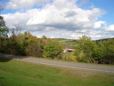 136 Young Road New Berlin, NY 13411 - Photo 4 of 12