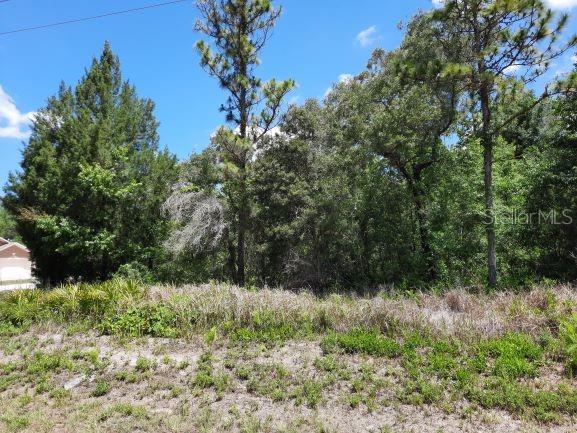 Hemlock Warbler Road Weeki Wachee, FL 34614 - Photo 1 of 1 Gallery Image 1
