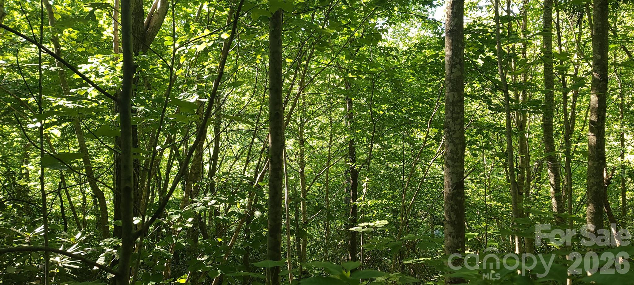 Lot#19 Mill Creek Road Old Fort, NC 28762 - Photo 7 of 13