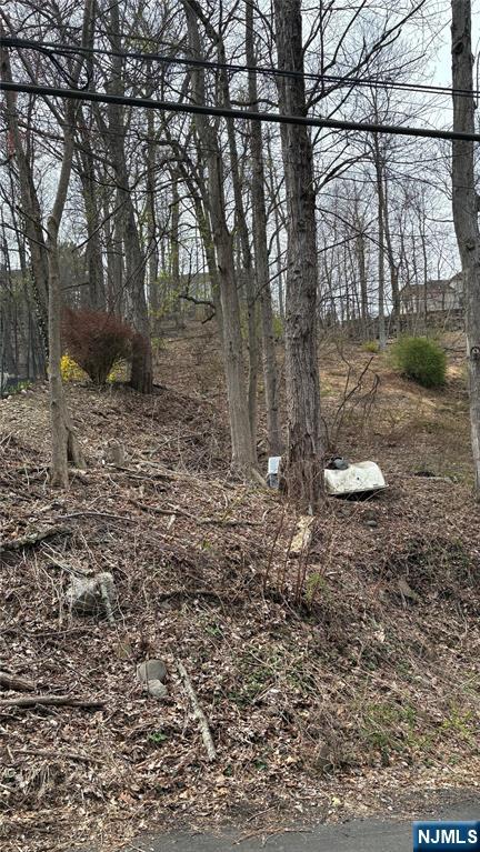 57 Ludlum Road Wayne, NJ 07470 - Photo 5 of 5