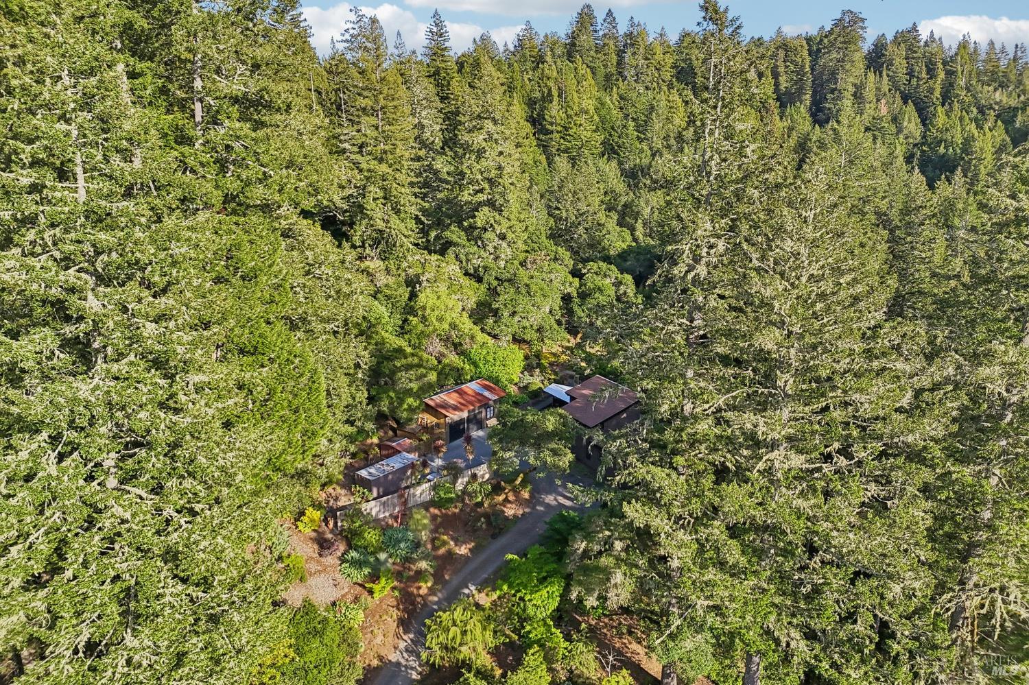 2515 Stepps Road Sebastopol, CA 95472 - Photo 81 of 93