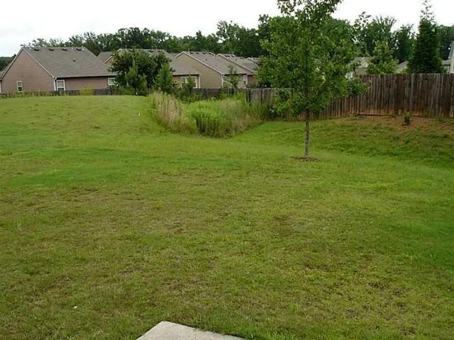 a view of a backyard
